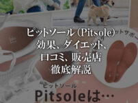 ピットソール（Pitsole）：効果、ダイエット、口コミから販売店まで徹底解説